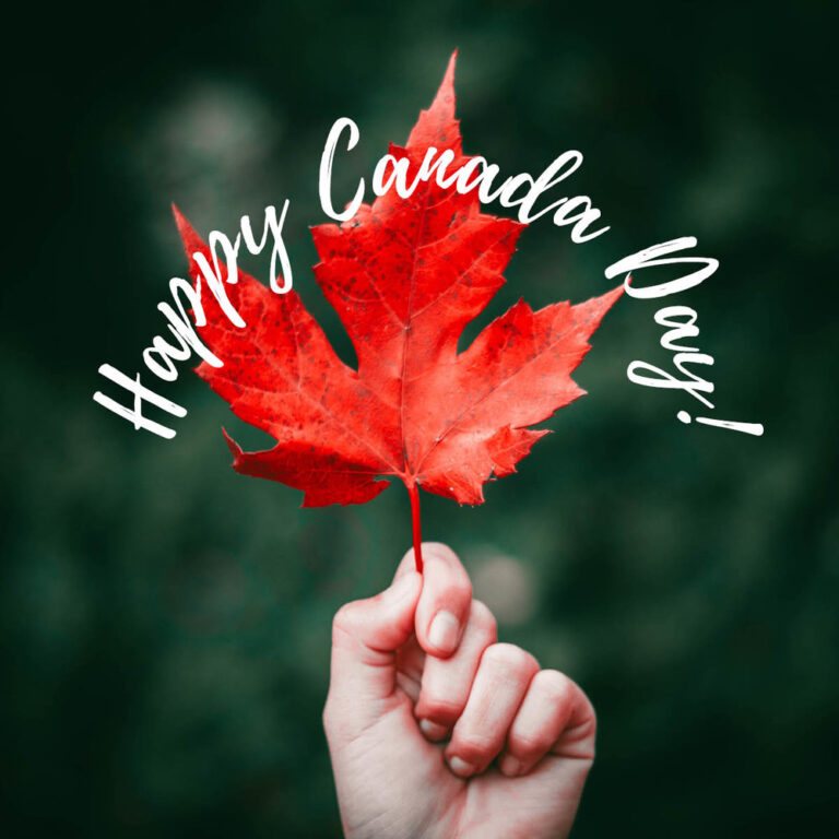 Child hand holding a red maple leaf