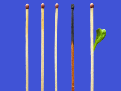 matches depicting destruction then regrowth