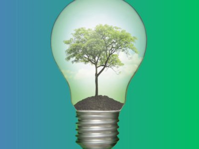 A Tree Growing in a lightbulb growing ideas