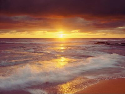 Special Music 2025 Poster image of a senset in oranges and browns