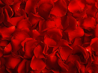 Coming Soon May 11'25