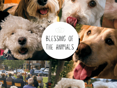 Blessing of the Animals