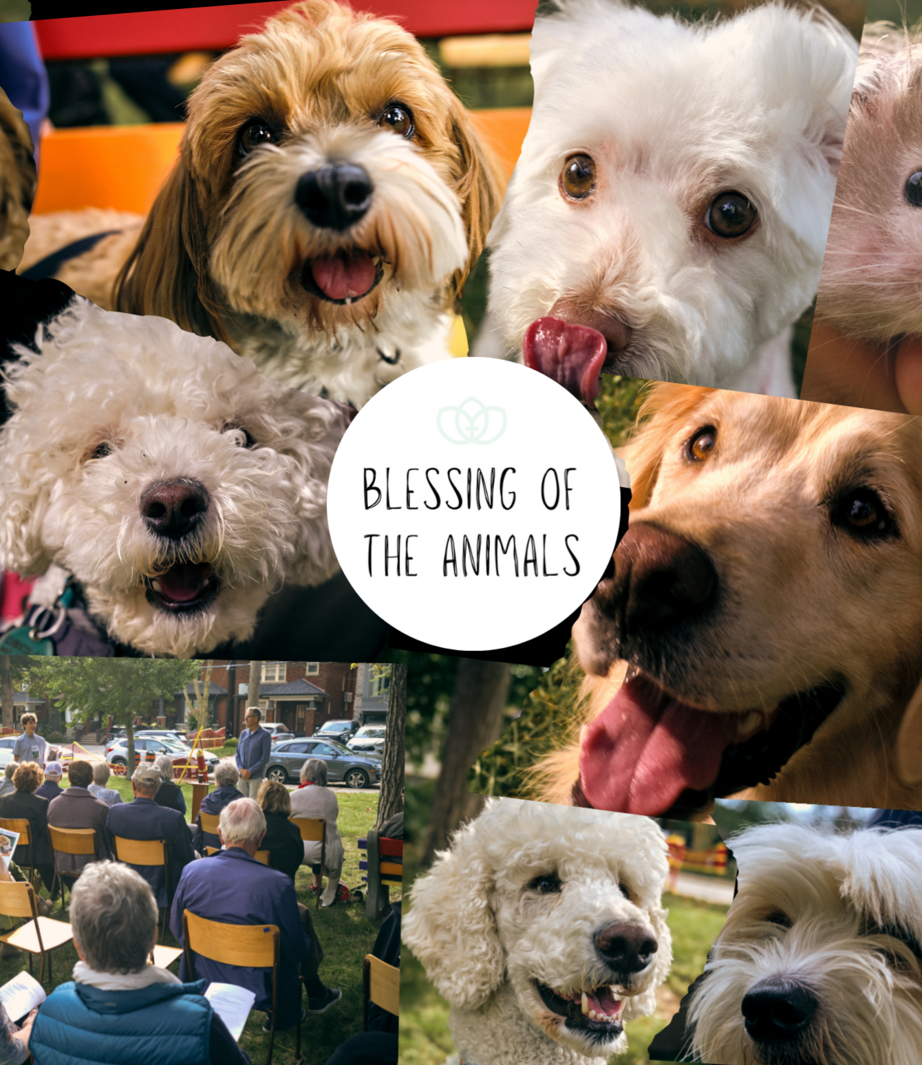 Blessing of the Animals