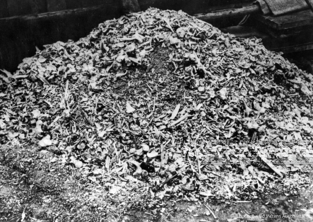 Pile of Bones Bulletin Cover Lent V 2026