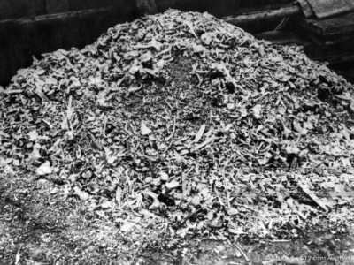 Pile of Bones Bulletin Cover Lent V 2026